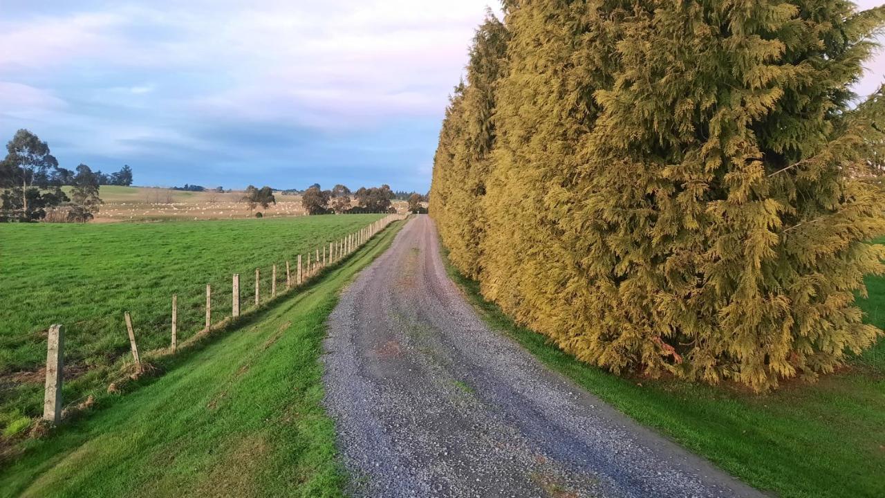 Greenfield Country Homestay Pukeawa Екстериор снимка