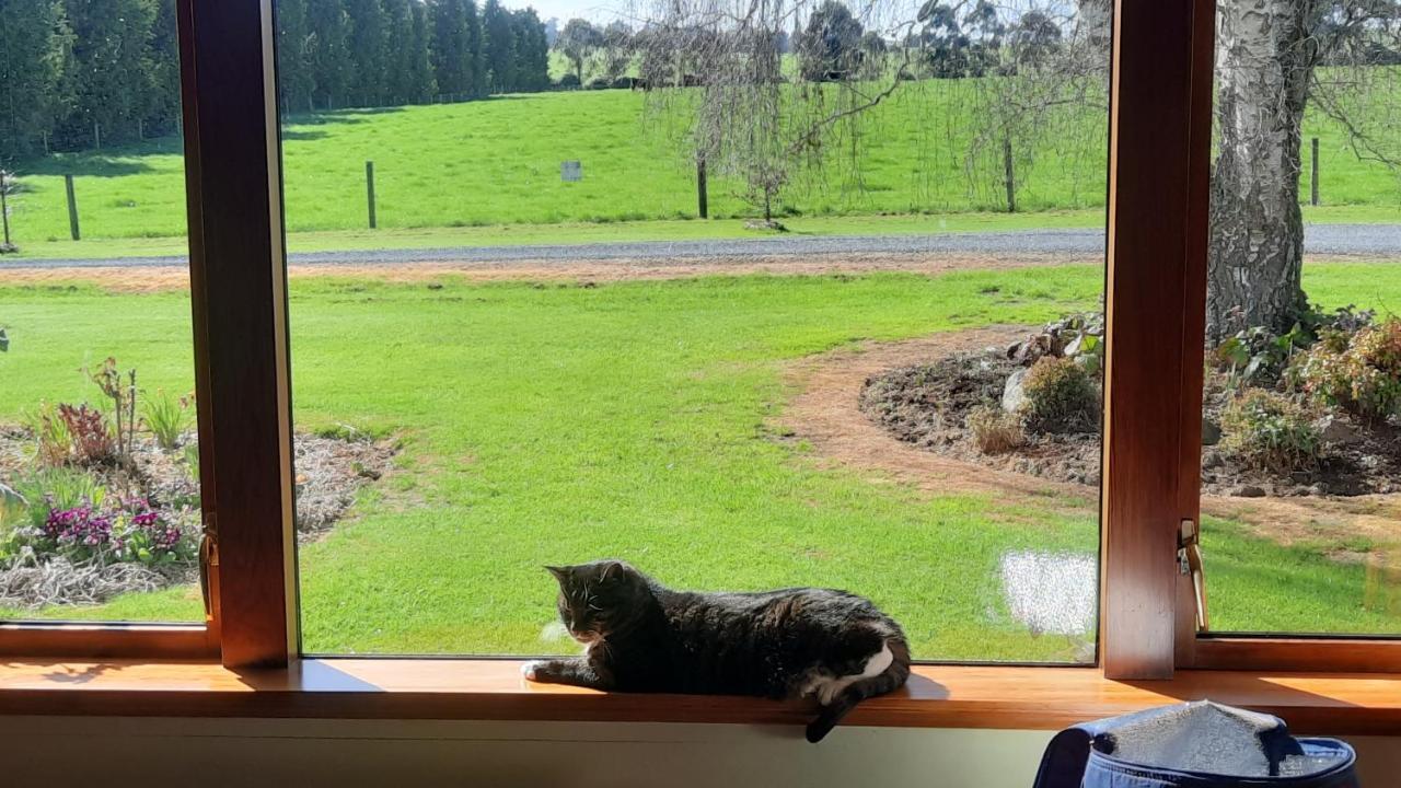 Greenfield Country Homestay Pukeawa Екстериор снимка